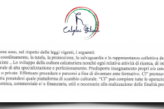 Dettagli Statuto