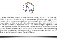 Dettagli Statuto